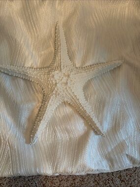 Coastal White Starfish Wall Decor – Elegant Home Accent